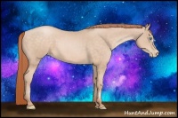 Horse Color:Buckskin Pearl