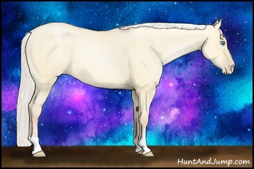 Horse Color:Silver Buckskin Pearl Dun 