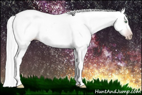 Horse Color:Gray Silver Amber Cream Champagne Roan Dun Splash Tobiano Frame Appaloosa Rabicano 