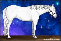 Horse Color:Watercolor Silver Amber Cream Champagne Roan Dun Splash Tobiano Varnish Rabicano