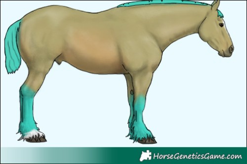 Horse Color:Watercolor Bay Sabino 