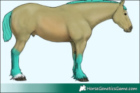 Horse Color:Watercolor Bay Sabino