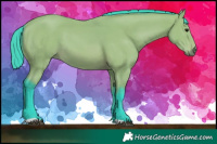 Horse Color:Watercolor Bay 