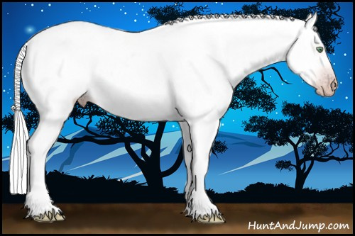 Horse Color:Gray Silver Amber Cream Champagne Roan Dun Splash Tobiano Frame Appaloosa Rabicano 