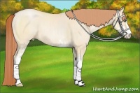 Horse Color:Buckskin Pearl Dun Sabino