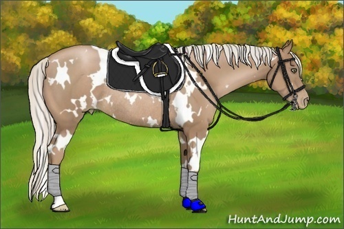 Horse Color:White Spotted Silver Black Pearl Rabicano