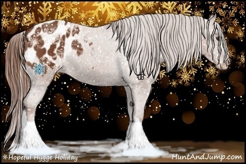Horse Color:Chestnut Appaloosa 