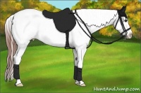 Horse Color:Grullo Sabino Splash Appaloosa Rabicano