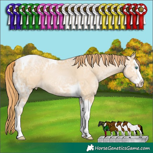 Horse Color:Smoky Black Ice Pearl Splash Tobiano 