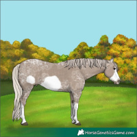 Horse Color:White Spotted Silver Grullo Ice Frame