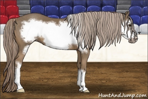 Horse Color:Chocolate Palomino Frame 