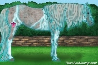 Horse Color:Thunderstruck Silver Blue Roan 