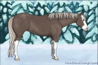 Horse Color:Silver Black Sabino Splash