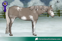 Horse Color:Unknown 