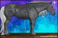 Horse Color:Silver Black Chinchilla 