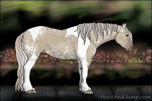 Horse Color:Silver Grullo Ice Tobiano 