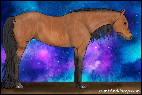 Horse Color:Bay  Brindle