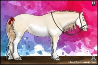 Horse Color:Buckskin Pearl Splash Frame