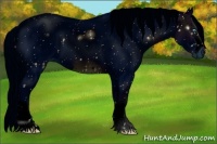 Horse Color:ERROR: UNKNOWN ANOMALY Brindle