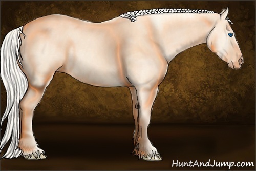Horse Color:Cremello Splash Brindle