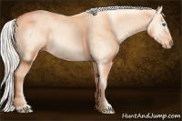 Horse Color:Cremello Splash Brindle