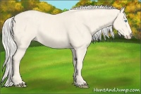 Horse Color:Cremello Splash  Brindle
