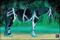 Horse Color:ERROR: UNKNOWN ANOMALY Brindle