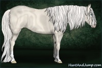 Horse Color:Cremello Roan Splash  Brindle