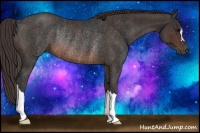 Horse Color:Brown Rabicano Brindle