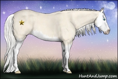 Horse Color:Cremello Splash Brindle