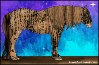 Horse Color:ERROR: UNKNOWN ANOMALY Brindle