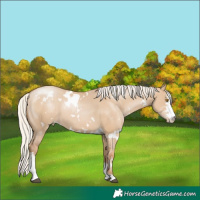 Horse Color:White Spotted Silver Grullo Pearl Sabino