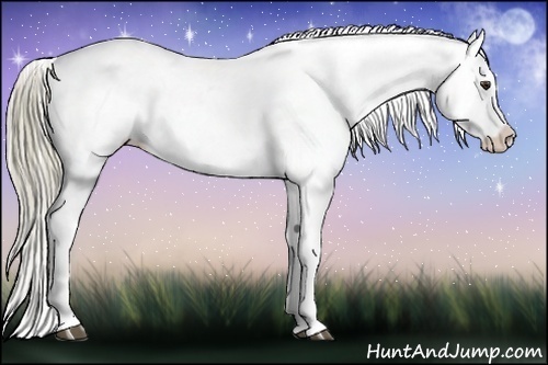 Horse Color:Chestnut Mushroom Sabino Splash Tobiano Blanket Brindle