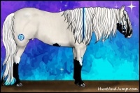 Horse Color:ERROR: UNKNOWN ANOMALY Brindle