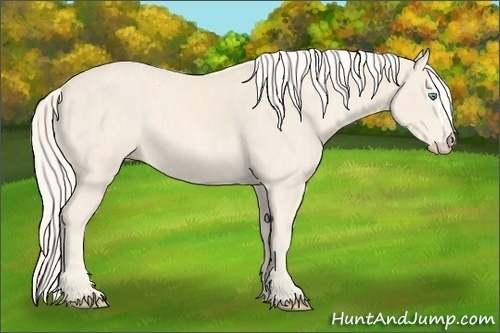 Horse Color:Cremello Splash  Brindle