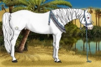 Horse Color:Perlino Chinchilla Splash Brindle