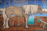 Horse Color:Palomino Splash  Brindle