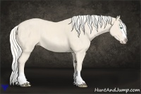 Horse Color:Cremello Splash  Brindle