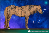 Horse Color:ERROR: UNKNOWN ANOMALY Brindle