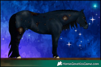 Horse Color:ERROR: UNKNOWN ANOMALY Brindle