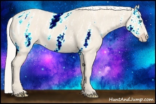 Horse Color:ERROR: UNKNOWN ANOMALY Brindle