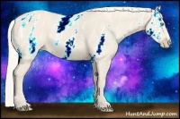 Horse Color:ERROR: UNKNOWN ANOMALY Brindle