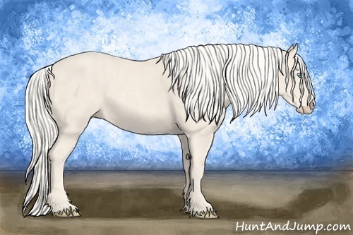 Horse Color:Cremello Splash  Brindle