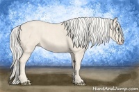 Horse Color:Cremello Splash  Brindle