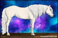 Horse Color:Cremello Splash  Brindle