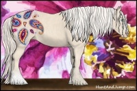 Horse Color:Cremello Splash Brindle
