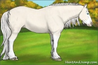 Horse Color:Cremello Splash Brindle