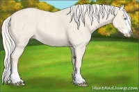 Horse Color:Cremello Splash Brindle