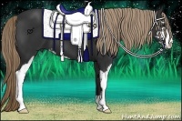 Horse Color:Liver Chestnut Sabino