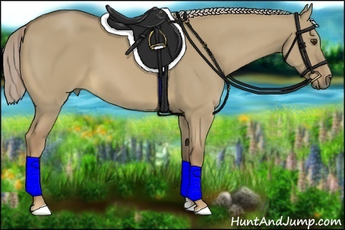 Horse Color:Chocolate Palomino Dun 